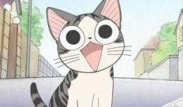 猫  动漫,猫界动漫之旅